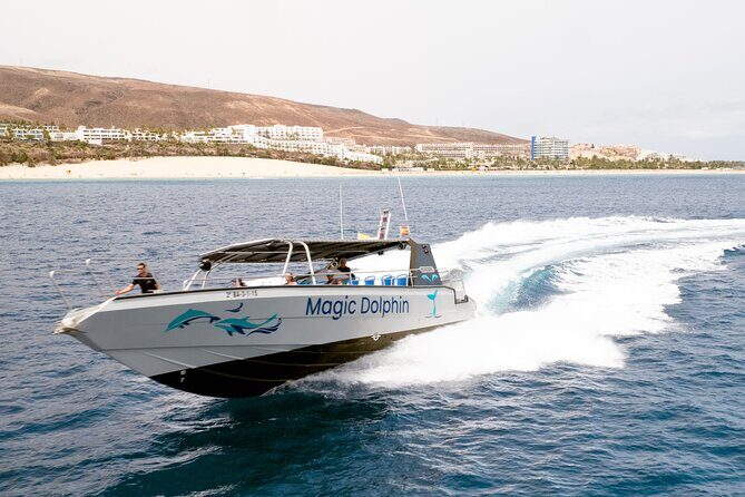 2-Hour Dolphin Watching Experience in Fuerteventura - Wildlife-Spotting: The Crew’s Search Makes the Difference
