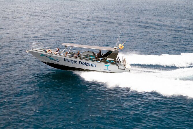 2-Hour Dolphin Watching Experience in Fuerteventura - Practical Tips to Improve Your Odds (and Your Enjoyment)