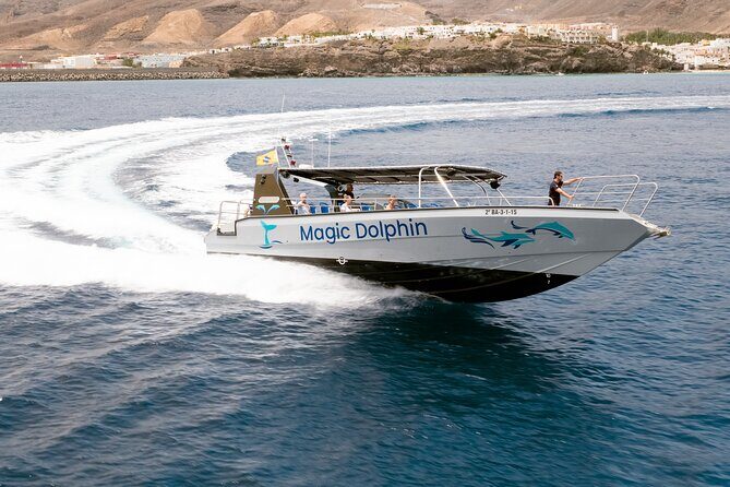 2-Hour Dolphin Watching Experience in Fuerteventura - Should You Book From Morro Jable?
