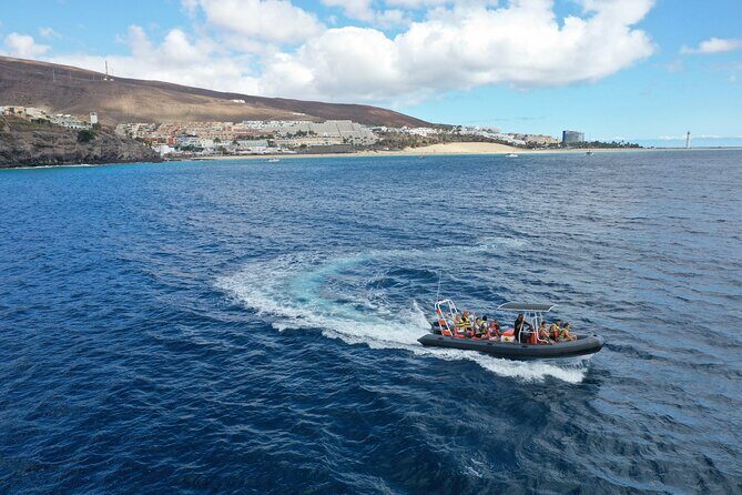 2h Dolphin and Whale Viewing + Snorkeling Tour - Speedboat Rides and Close-Up Dolphin Encounters Off Morro Jable