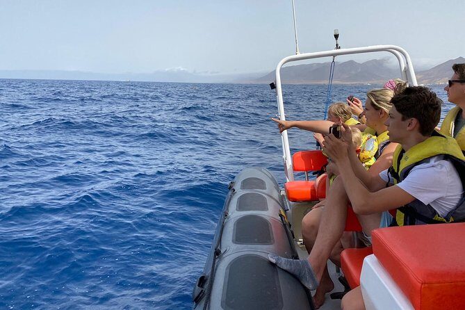 2h Dolphin and Whale Viewing + Snorkeling Tour - Snorkeling Stop: 30 Minutes, Colorful Fish, and Real Seafloor