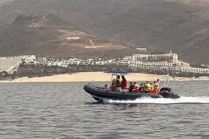 2h Dolphin and Whale Viewing + Snorkeling Tour - Time on the Clock: Where the 2 Hours Usually Go