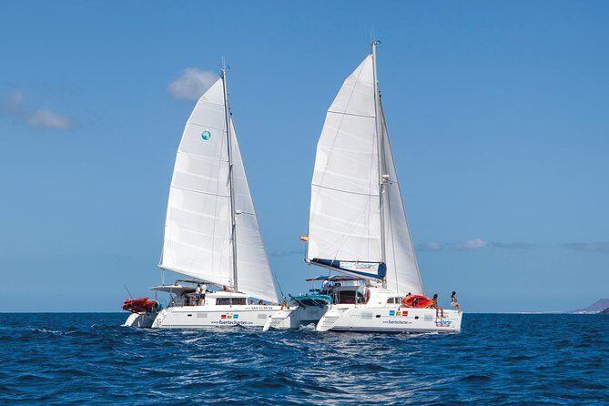 4-Hour Boat Trip to Isla de Lobos from Fuerteventura (Combo Deluxe) - Your 10:00 am day on the water (and why timing matters)