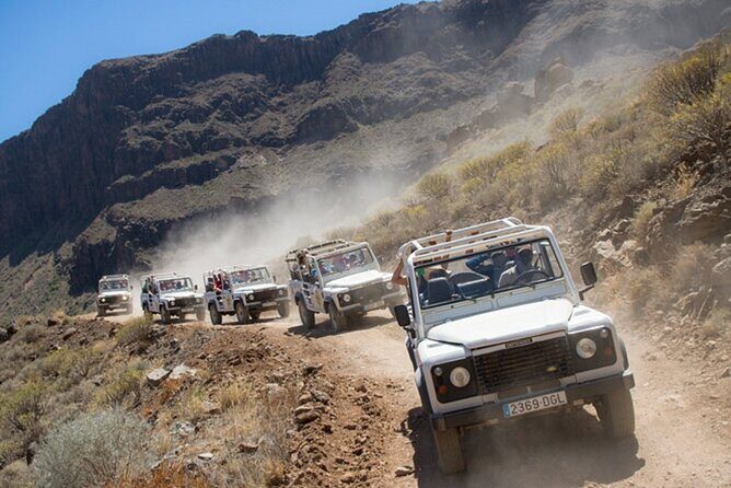 4X4 Safari: Jandía Natural Park and Cofete - Vineyards in ash: the wine stop that actually tells a story