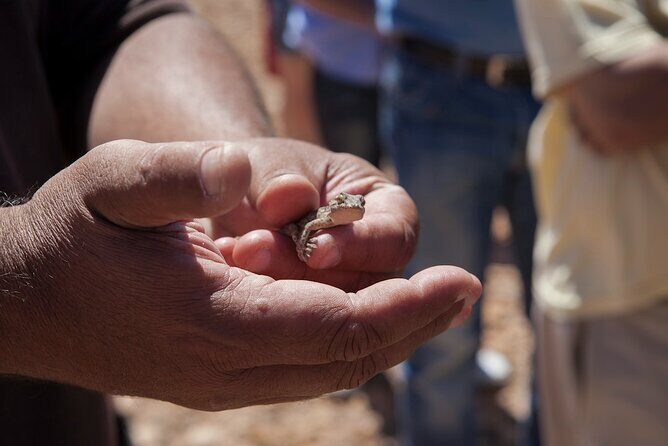 4X4 Safari: Jandía Natural Park and Cofete - Cofete Beach: the headliner you can’t mimic on your own