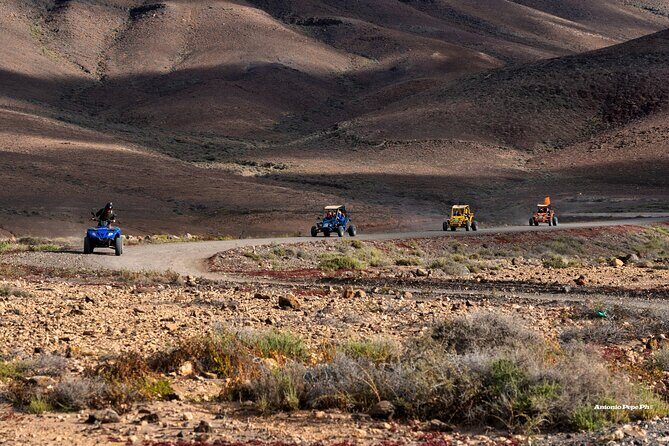 Buggy Safari in Caleta de Fuste - Price and value: about $119.48 per group for a 2h 45m island mix