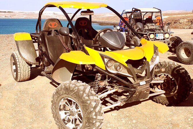 Buggy Safari In Costa Calma - Timing and group size: about three hours, max 7 travelers