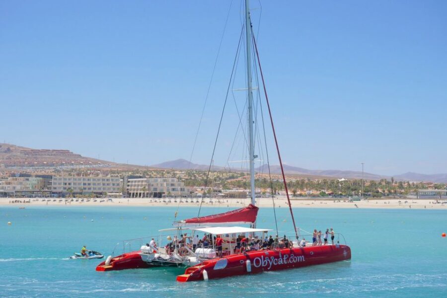 Caleta de Fuste: Catamaran Sailing Experience - Key points before you sail to Pozo Negro Bay