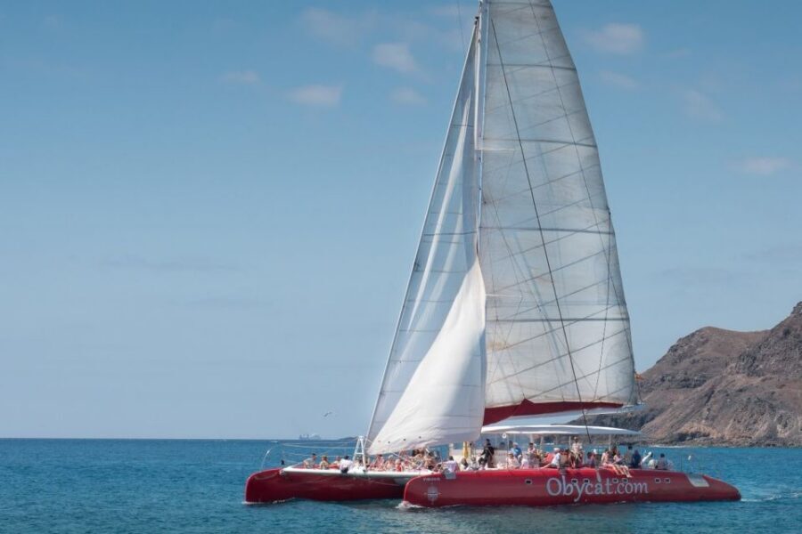 Caleta de Fuste: Catamaran Sailing Experience - Wildlife sightings: pilot whales, dolphins, and turtles along the way