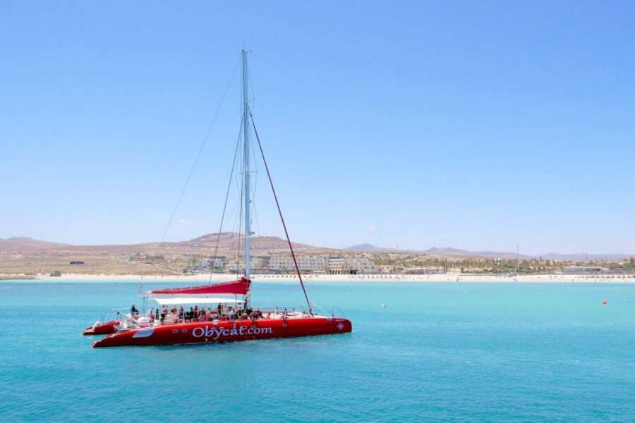 Caleta de Fuste: Catamaran Sailing Experience - Crew and captain: the biggest reason people feel taken care of