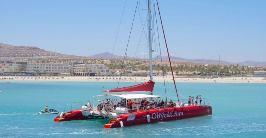 Caleta de Fuste: Catamaran Sailing Experience - The 4-hour plan: calm sailing out, one big swim stop, then back to port