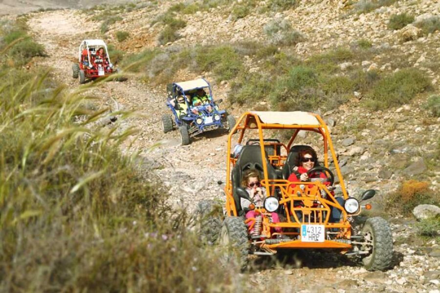 Caleta De Fuste: Guided Buggy Explorer Tour - Cheese Farm Stop: Goat Cheese Tasting, Animals, and Local Shopping Time
