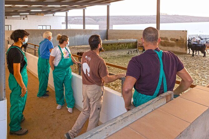 Cheese Making Workshop in Fuerteventura with Breakfast - Where the morning starts: Quesería in Los Alares