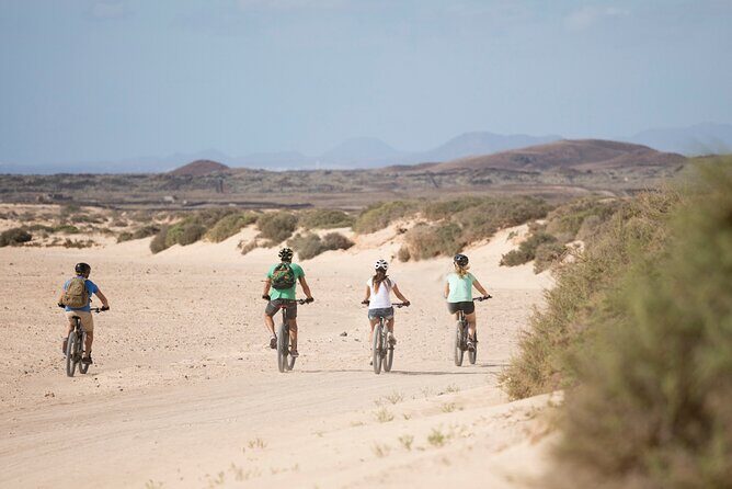 Coast to Coast PREMIUM eBike Tour; moderate level - 45 km - Price and value: is $77.89 a smart deal?