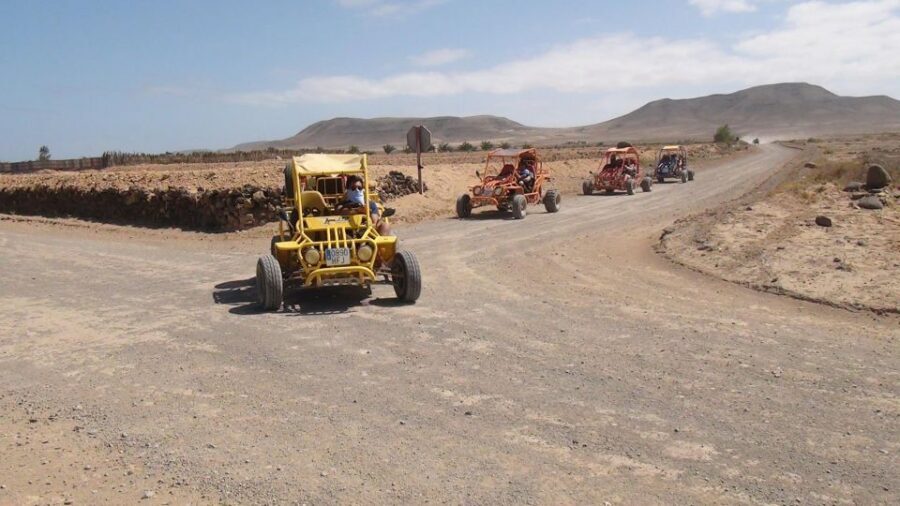 Corralejo: Buggy Safari Tour - Should you book the Corralejo Buggy Safari Tour?