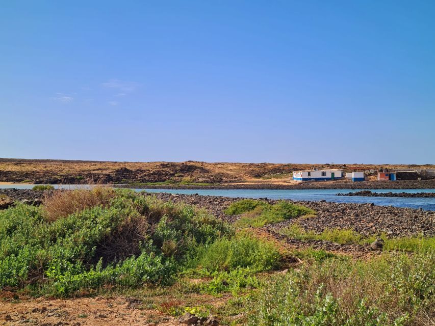 Corralejo: E-Bike Rental with Map to Popcorn Beach - Why this Corralejo e-bike route works so well
