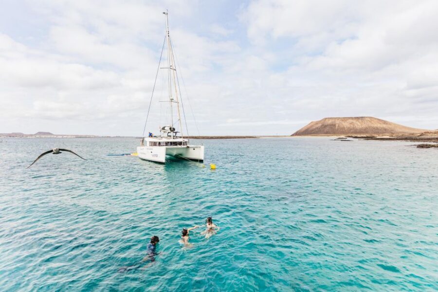 Corralejo: Lobos Island Catamaran Tour with Drinks & Snorkel - Drinks and paella on deck: the value question answered