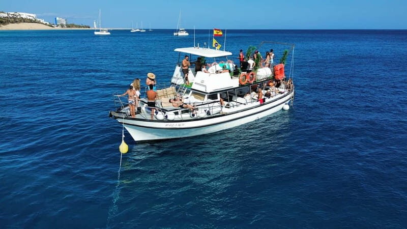 Costa Calma: Fuerteventura Dolphin Watching Zodiac Boat Tour - What to Bring (and Who This Tour Suits Best)