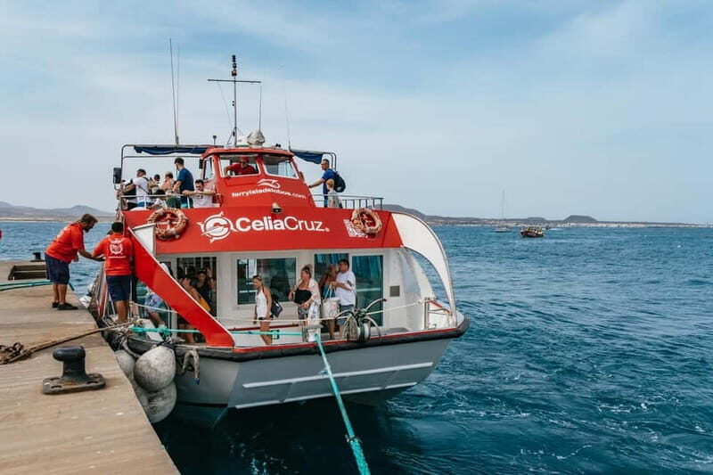 Desde Corralejo: Lobos Island Ferry with Optional Transfer - Return Timing: Two Afternoon Departures and the Smart Move