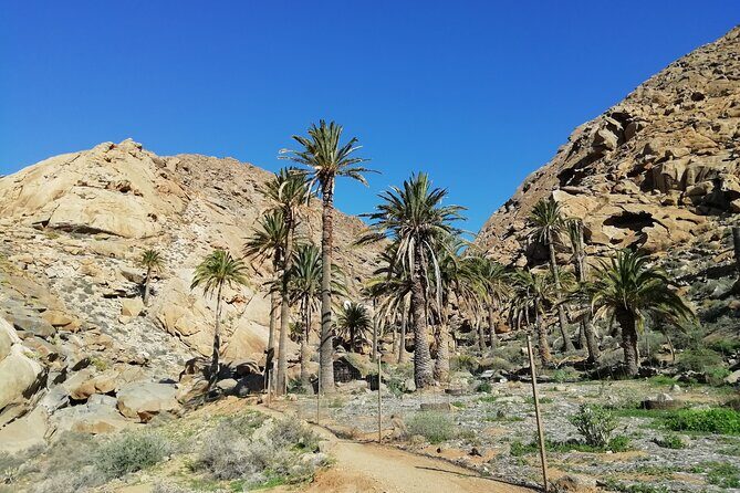 Excursion to Ajuy Caves with a secret Las Penitas canyon Hike - The 6–7 Hour Format and What You’re Paying For