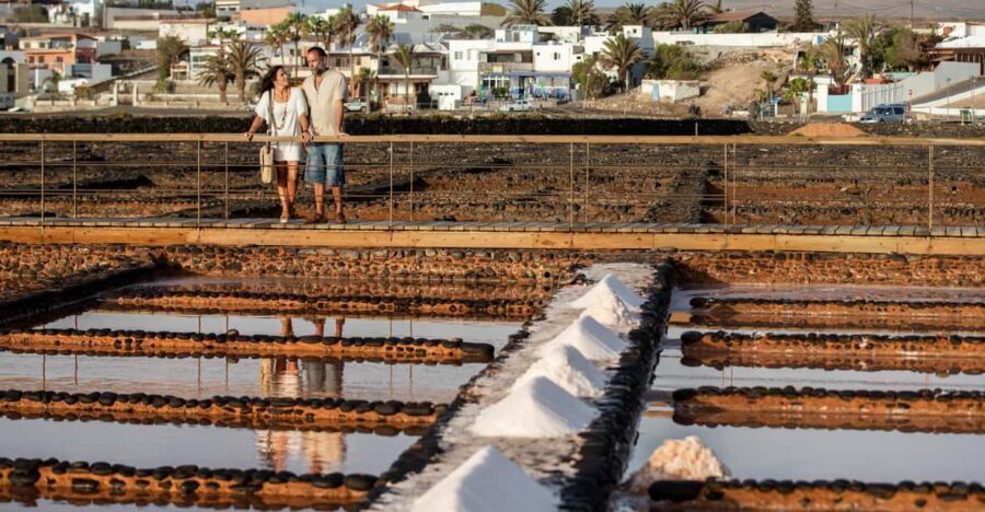 From Caleta de Fuste: Explore Rural Fuerteventura Tour - Key highlights that make this tour worth your time