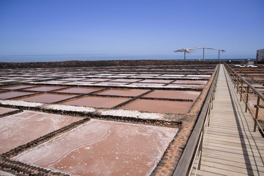 From Caleta de Fuste: Explore Rural Fuerteventura Tour - A 3-hour rural loop that’s more than scenic photos