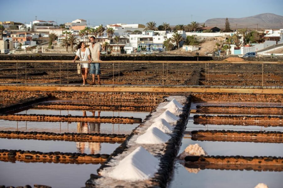 From Caleta de Fuste: Explore Rural Fuerteventura Tour - Los Alares: goats, cheese, and the farm rhythm