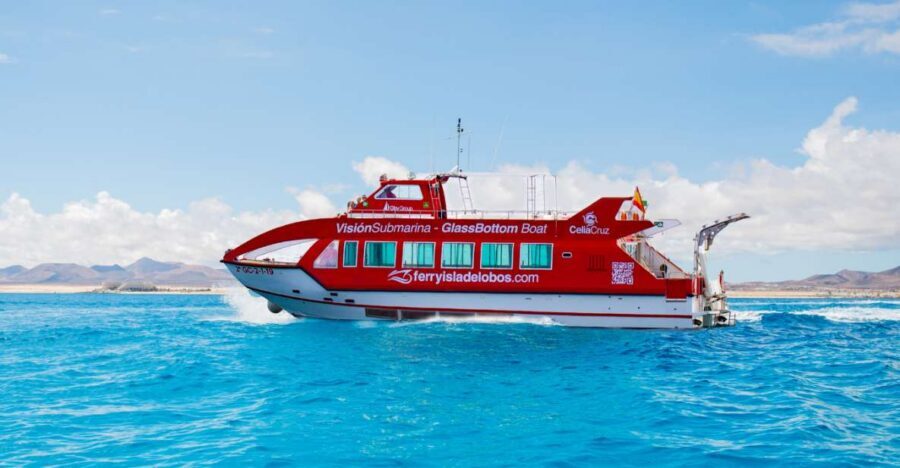 From Caleta de Fuste: Return Bus and Ferry to Lobos Island - Pickup points, timing, and the Corralejo ferry connection
