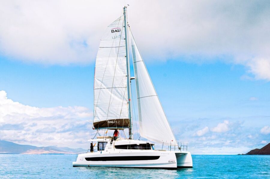 From Corralejo/Caleta de Fuste: Lobos Island Catamaran Trip - Planning Your Lobos Island Catamaran Day from Corralejo or Caleta de Fuste