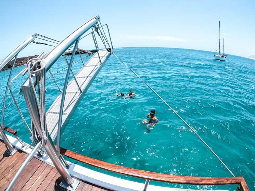 From Corralejo: Lobos Island Boat and Snorkel Activity - The Naviera Nortour meeting point and how the day starts