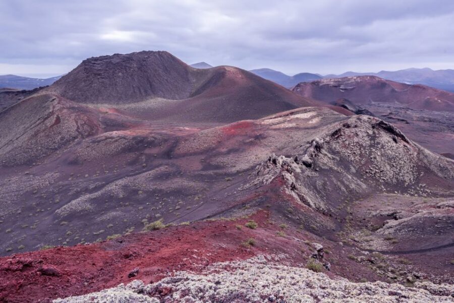 From Fuerteventura: Lanzarote Volcano and Wine Region Tour - Group Size and Language: Why the Guide Matters Here