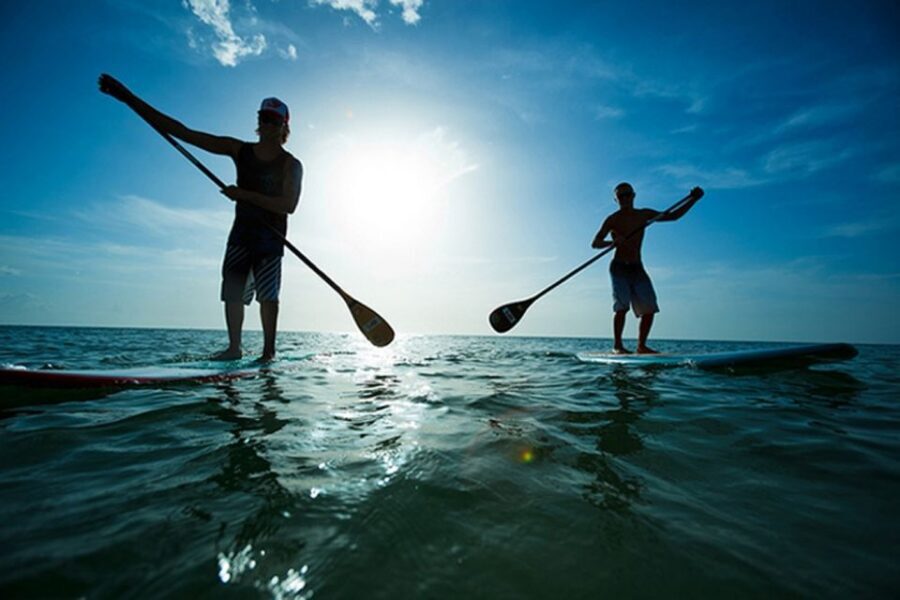 Fuerteventura: 1.5-Hour SUP Course - Caleta de Fuste - Key things to know before you go