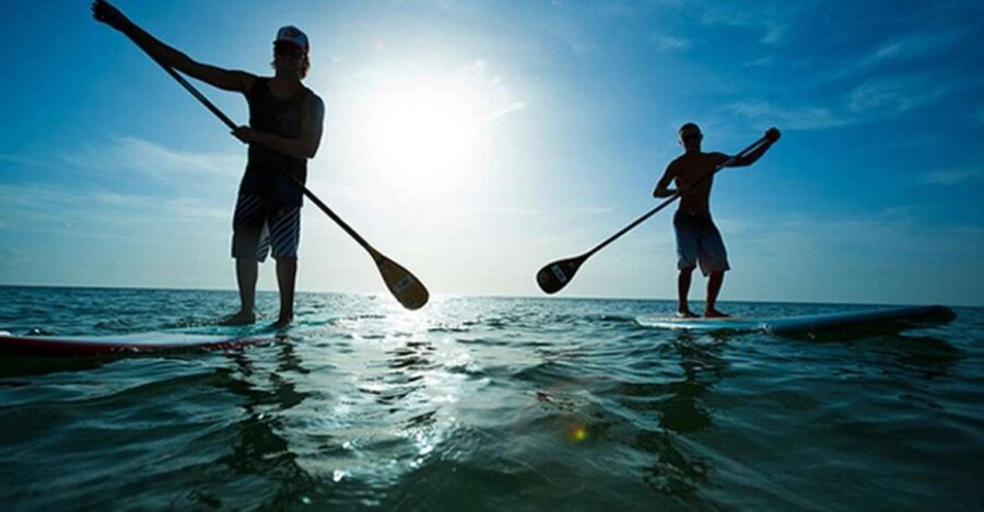 Fuerteventura: 1.5-Hour SUP Course - Caleta de Fuste - Caleta de Fuste SUP in 90 minutes: what makes it work