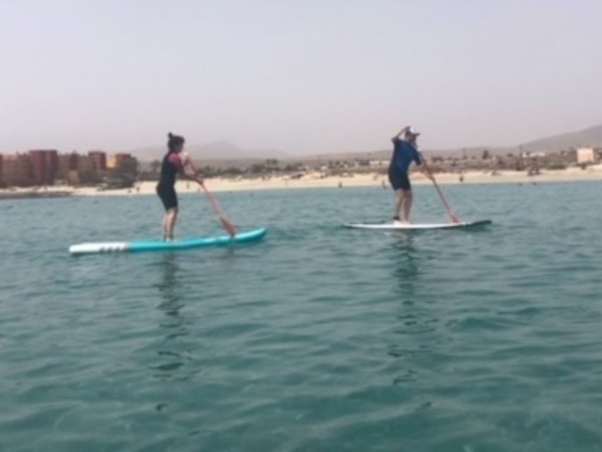 Fuerteventura: 1.5-Hour SUP Course - Caleta de Fuste - The first splash: learning to stand without losing your mind