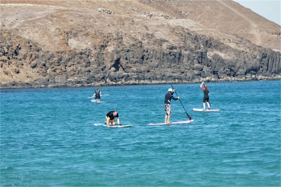 Fuerteventura: 1.5-Hour SUP Course - Caleta de Fuste - What it costs and why it’s reasonable for the time