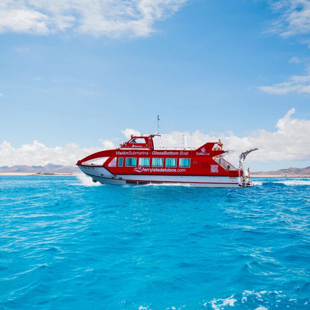 Fuerteventura: 1-Hour Mini Swim & Snorkel Cruise - Key highlights you’ll actually care about