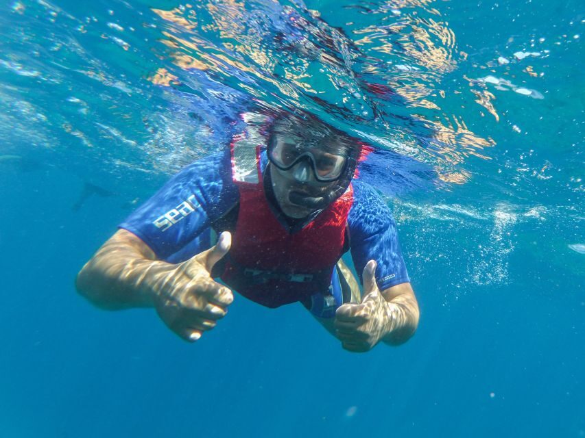 Fuerteventura: 2-Hour Kayaking and Snorkeling Excursion - Booking Decision: Should You Paddle With Kayaking Atlantis?