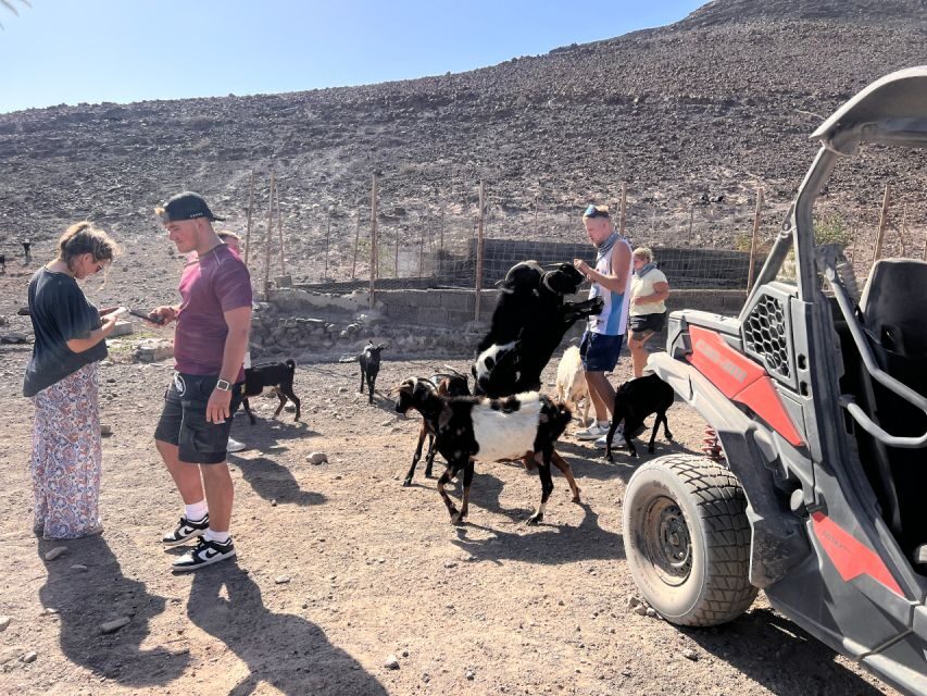 Fuerteventura : 2 hours Buggy Tour in Punta de Jandía - What to bring and how to make it smoother
