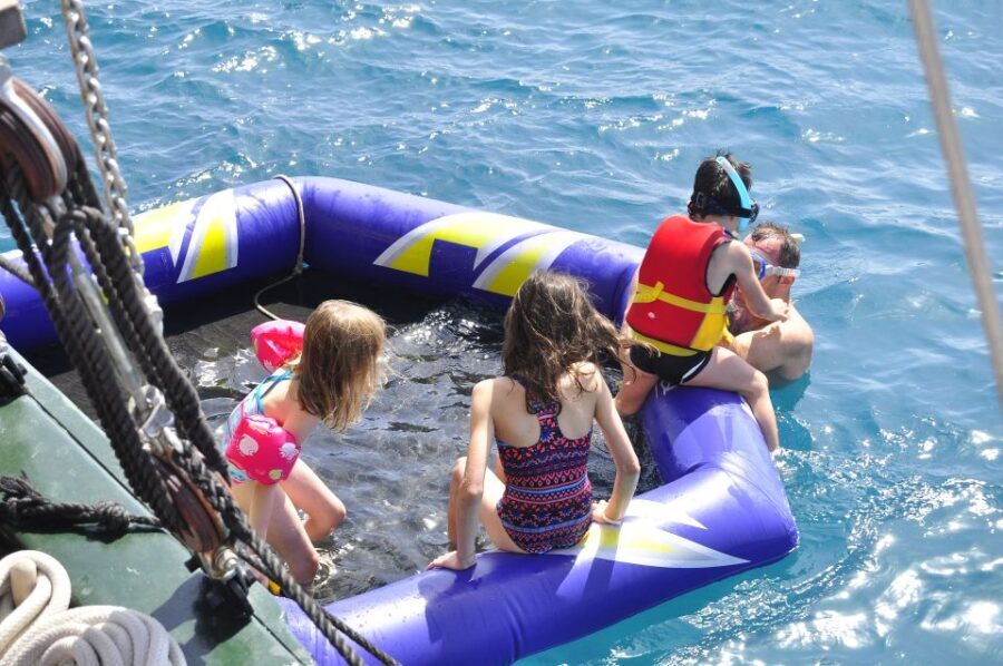 Fuerteventura: 4-Hour Pirate Sailing Adventure - Wildlife Chances and the Blue-Flag Responsible-Watching Angle