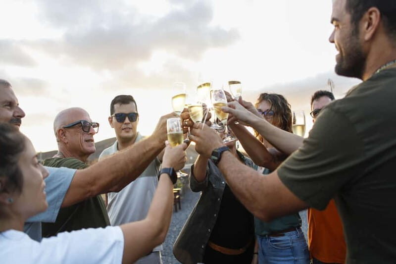 Fuerteventura Aloe & Olivo Tour with Optional Lunch - Who This Tour Fits Best on Fuerteventura