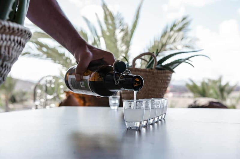 Fuerteventura Aloe & Olivo Tour with Optional Lunch - Optional Lunch: Canarian Tapas and a Gofio Sweet Finish