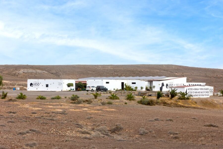Fuerteventura: Artisan Goat's Cheese Making at Local Farm - Vacuum packing and taking home your personalized cheese