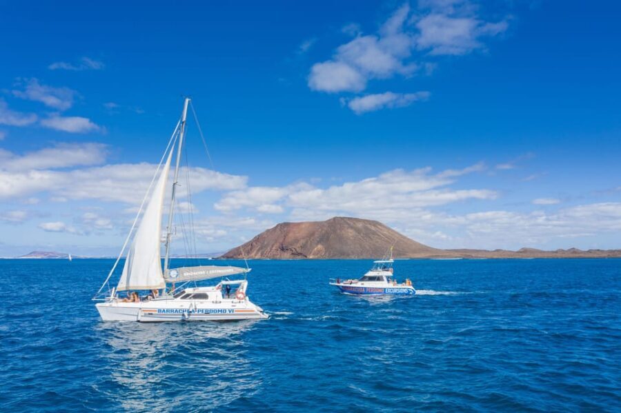 Fuerteventura : Catamaran excursion to Lobos Island - Onboard Comfort for a Small Group of 12 Passengers