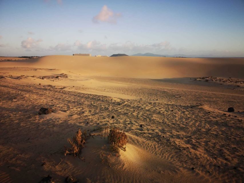 Fuerteventura: Corralejo Sand Dunes Guided Shore Excursion - Guide notes that make a difference: German commentary and clear info
