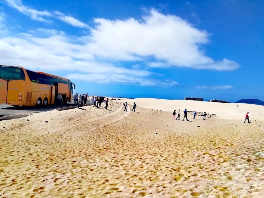 Fuerteventura: Corralejo Sand Dunes Guided Shore Excursion - Beach and coves time after 1:30 PM: swimming in crystal-clear water
