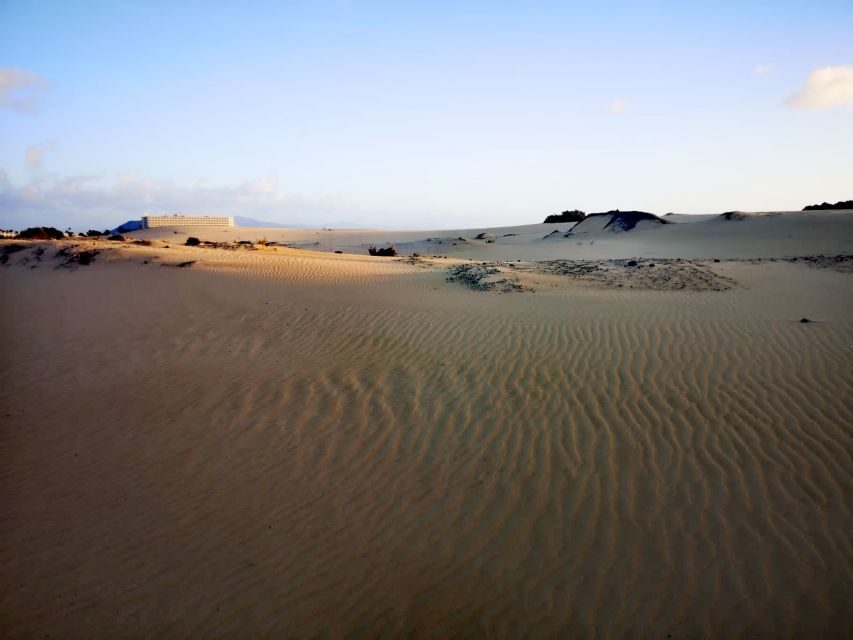 Fuerteventura: Corralejo Sand Dunes Guided Shore Excursion - Price and value: is $23 for 5 hours worth it?