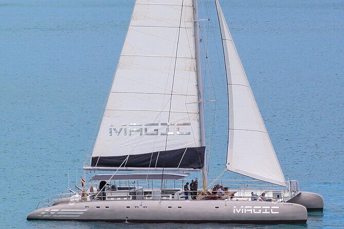 Fuerteventura: Day at Sea on a Sailing Catamaran with Lunch and Drinks - Cruising the south coast: wind, views, and dolphin odds