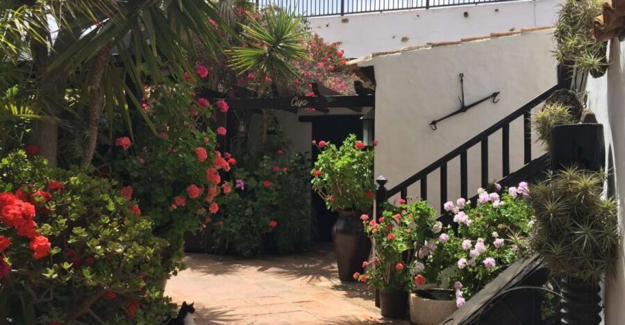 Fuerteventura: Discovery Tour - Tiscamanita plus aloe and agave: the island’s practical side