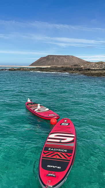 Fuerteventura: Dolphin watching and Lobo Island Combo Cruise - Corralejo Catamaran: Getting From Dock to Open Water