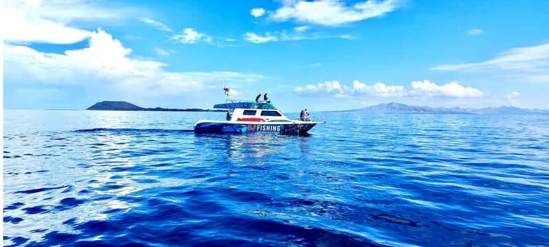 Fuerteventura: Dolphin watching and Lobo Island Combo Cruise - Paella Lunch and Unlimited Drinks: More Than a Token Meal